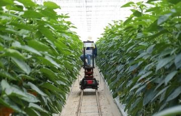 Gospić kao glavni grad za deset milijuna Hrvata. Imamo dovoljno prostranstva za razvoj suvremenih industrija, a pametne tvornice su jedan od mojih orijentira.